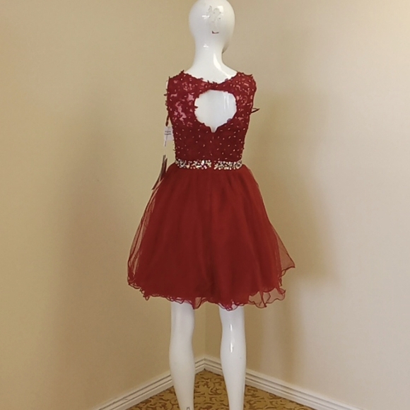 Nwt size X-Small huifany homecoming dress - Picture 5 of 5